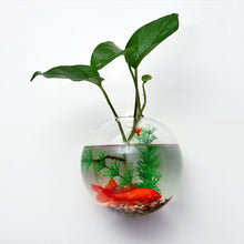 Load image into Gallery viewer, Wall Hanging Round Glass Vase - Terrarium Container Garden Decor